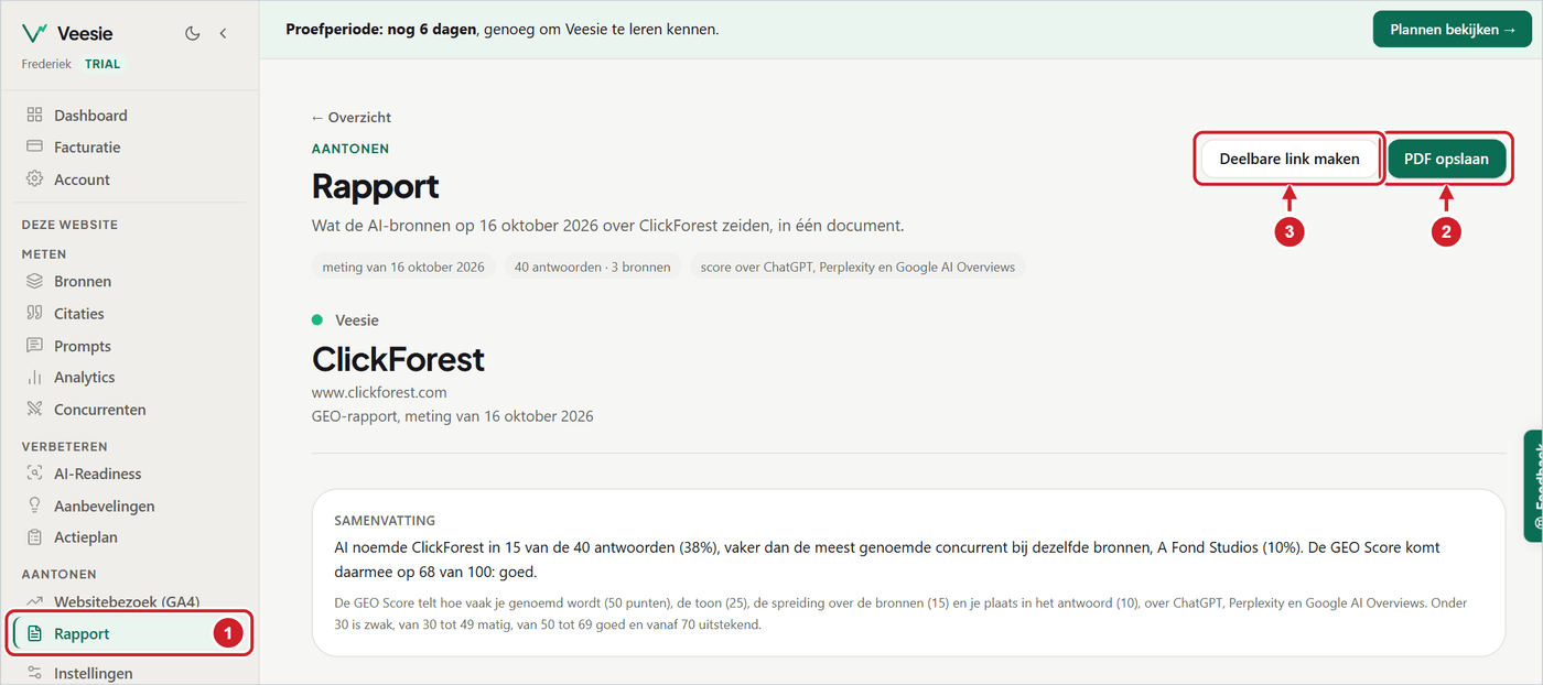 De tab Rapport met de knoppen Deelbare link maken en PDF opslaan bovenaan, en de documentkop eronder